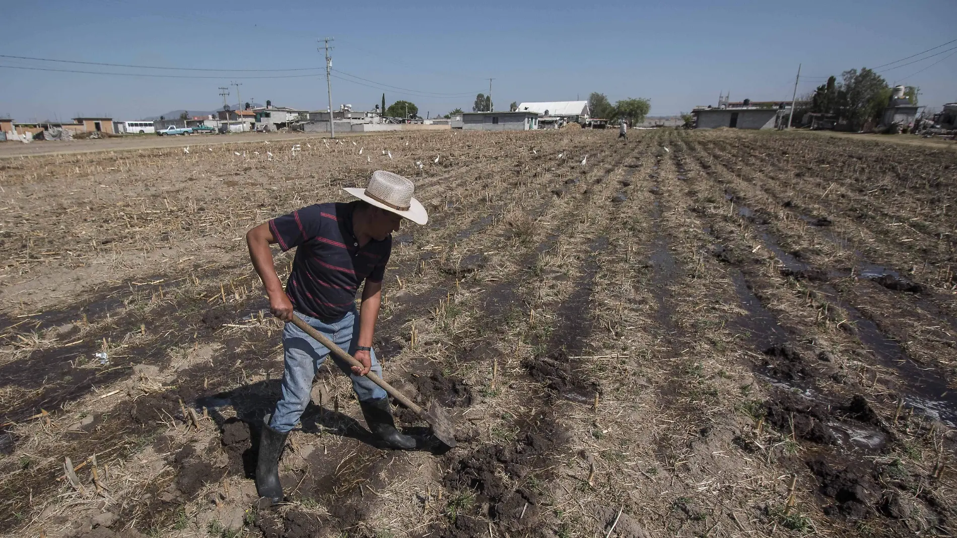 Ejidatarios requieren liberación del precio de los productos del campo